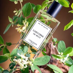 LONICERA DE NUIT